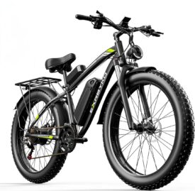 EXRBYKO Commuter Electric Bike 750W