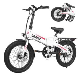 Gotrax R1 20″ Folding Electric Bike for Adults 350W