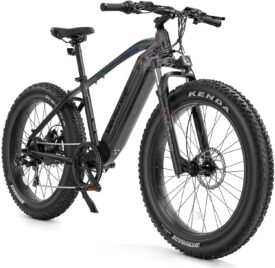 VELOWAVE Mountain Electric Bike Fat Tire 750W