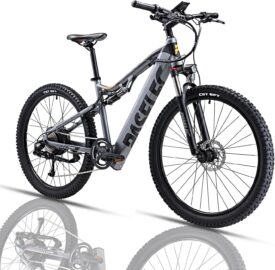 PASELEC Electric Bike Full Suspension Ebike 750W