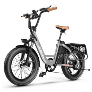 EUY CityRang 4.0 20″ Fat Tire Electric Bike